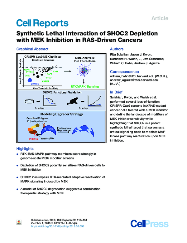 (PDF) Synthetic Lethal Interaction of SHOC2 Depletion with MEK ...