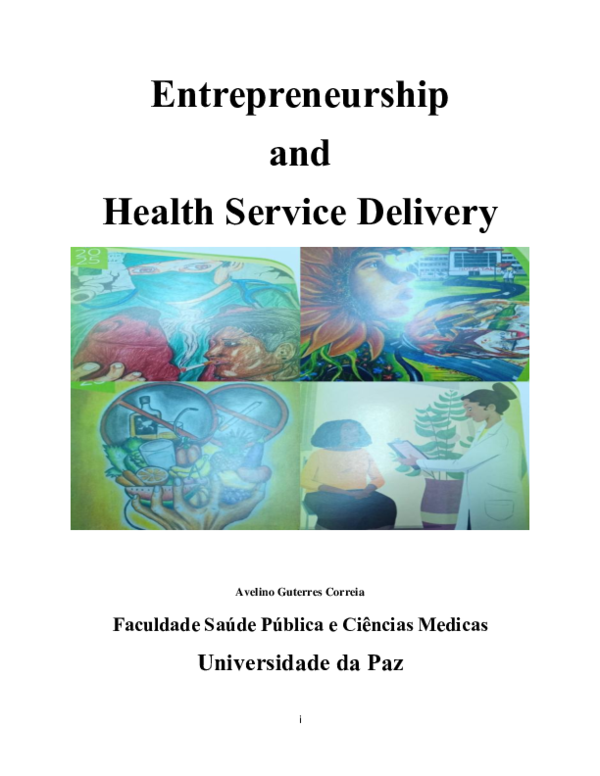 (PDF) Entrepreneurship and Health Service Delivery