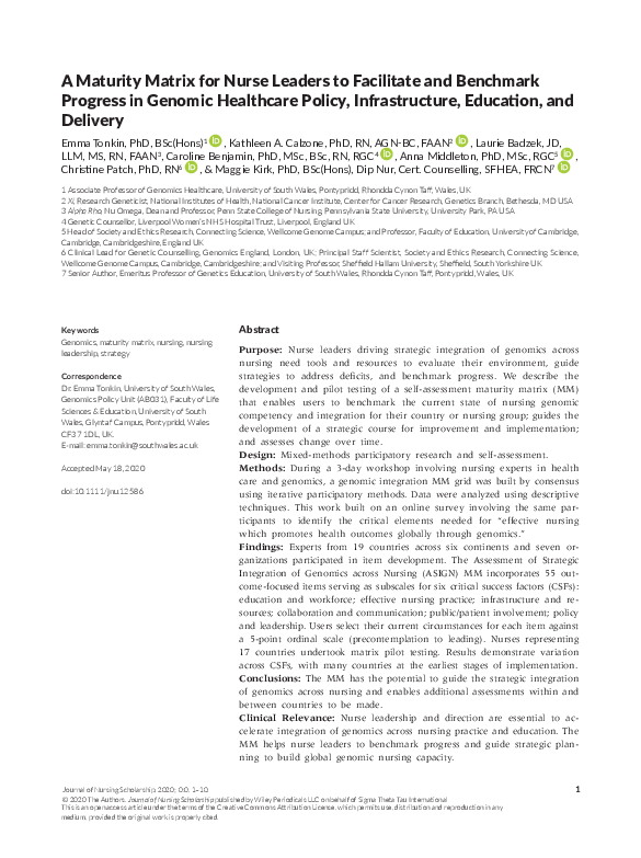 (PDF) A Maturity Matrix for Nurse Leaders to Facilitate and Benchmark ...