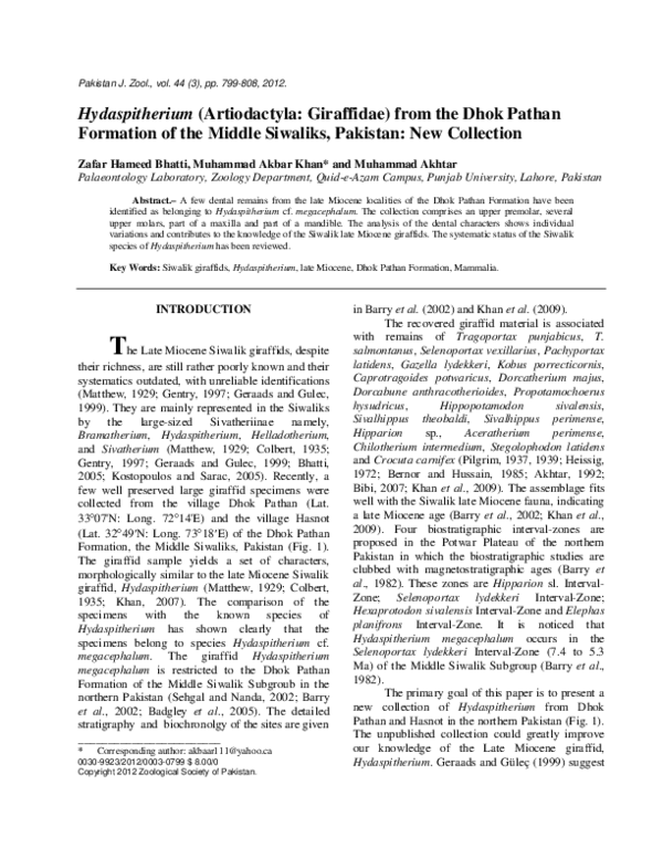(PDF) Hydaspitherium (Artiodactyla: Giraffidae) from the Dhok Pathan ...
