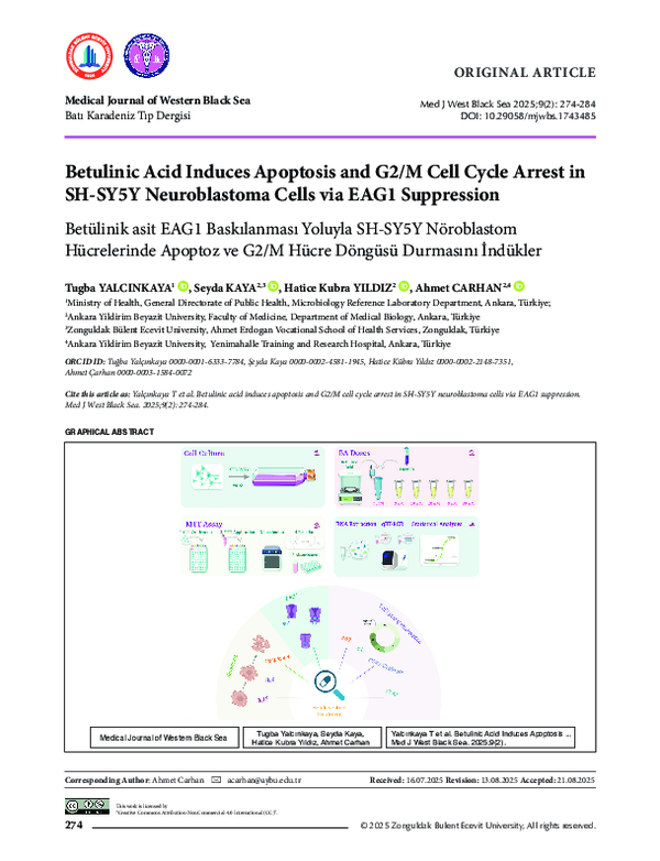 (PDF) Betulinic Acid Induces Apoptosis and G2/M Cell Cycle Arrest in SH ...