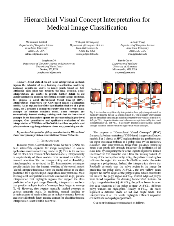 (PDF) Hierarchical Visual Concept Interpretation for Medical Image ...