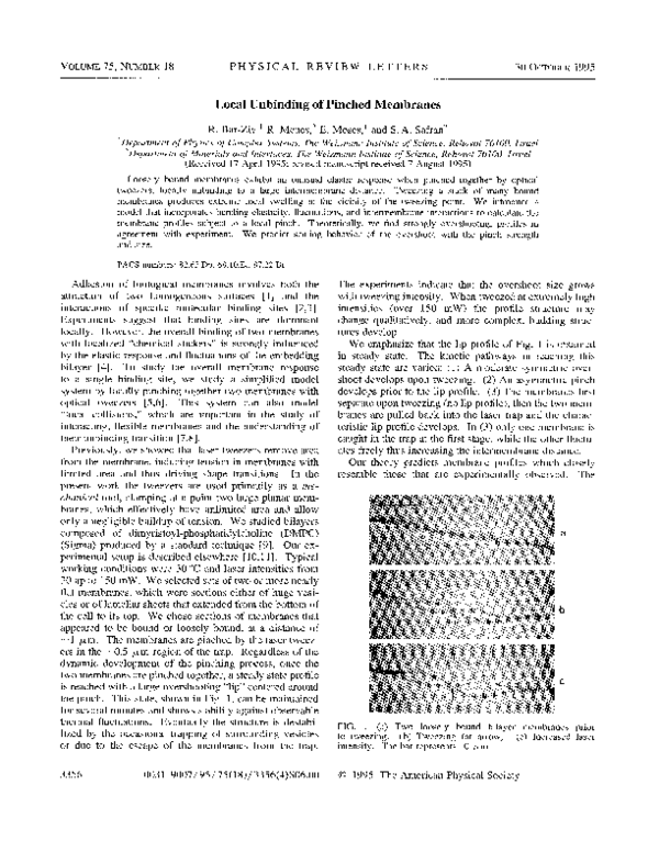 (PDF) Local Unbinding of Pinched Membranes