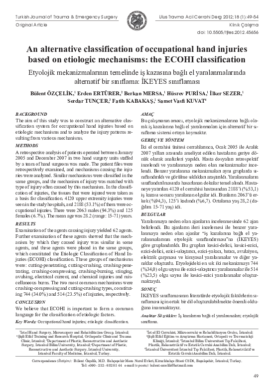 (PDF) An alternative classification of occupational hand injuries based ...