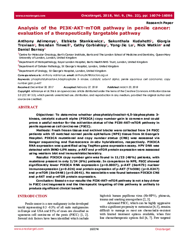 (PDF) Analysis of the PI3K-AKT-mTOR pathway in penile cancer ...