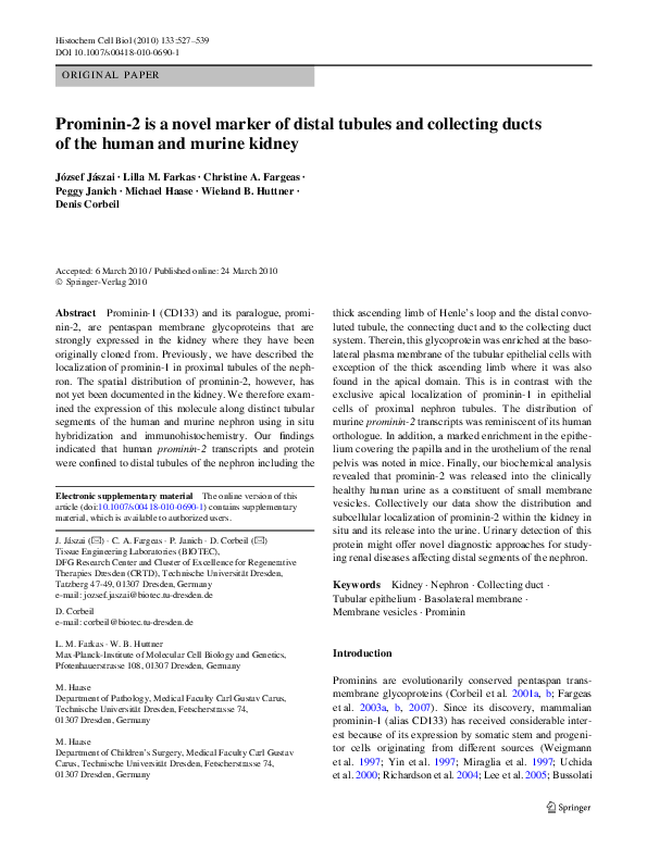 (PDF) Prominin-2 is a novel marker of distal tubules and collecting ...