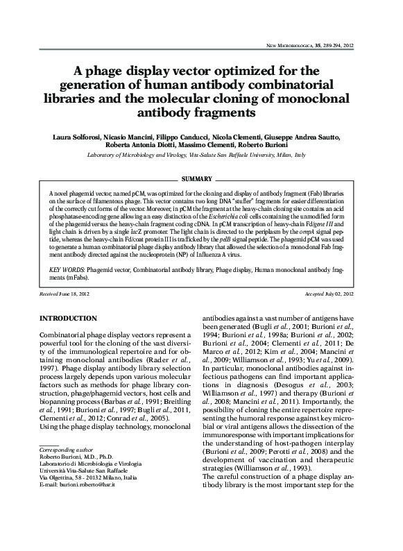 (PDF) A phage display vector optimized for the generation of human ...