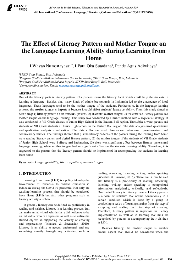 (PDF) The Effect of Literacy Pattern and Mother Tongue on the Language ...