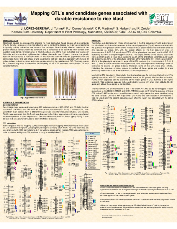 (PDF) Mapping QTL´s and candidate genes associated with durable ...