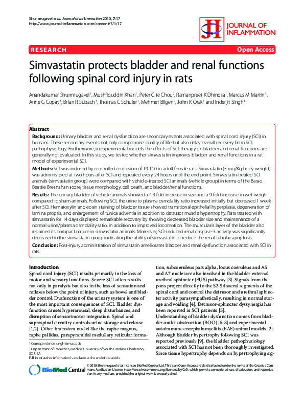 (PDF) Simvastatin protects bladder and renal functions following spinal ...