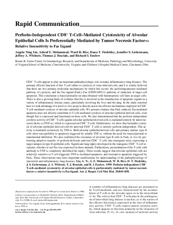 (PDF) Perforin-Independent CD8+ T-Cell–Mediated Cytotoxicity of ...