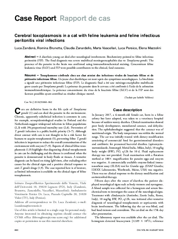 Cat Leukemia And Parasites Reference: Pdf Cerebral Toxoplasmosis In A Cat With Feline Leukemia And
