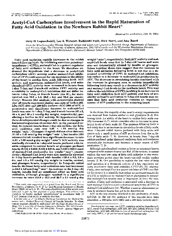 (PDF) Acetyl-CoA carboxylase involvement in the rapid maturation of ...