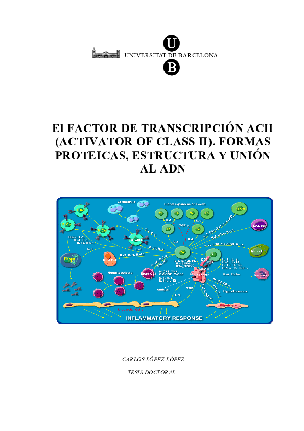 (PDF) Factor de transcripción ACII (