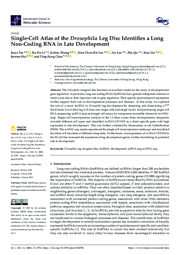 (PDF) Single-Cell Atlas of the Drosophila Leg Disc Identifies a Long ...
