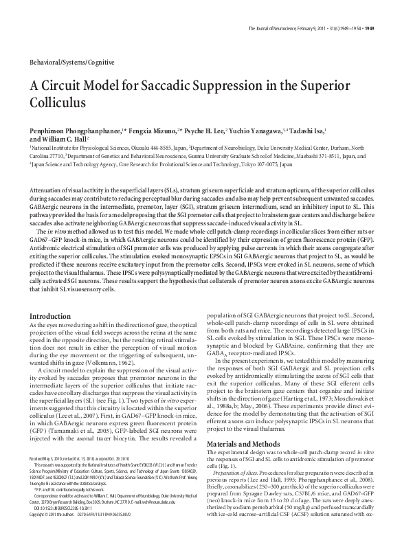 (PDF) A Circuit Model for Saccadic Suppression in the Superior Colliculus