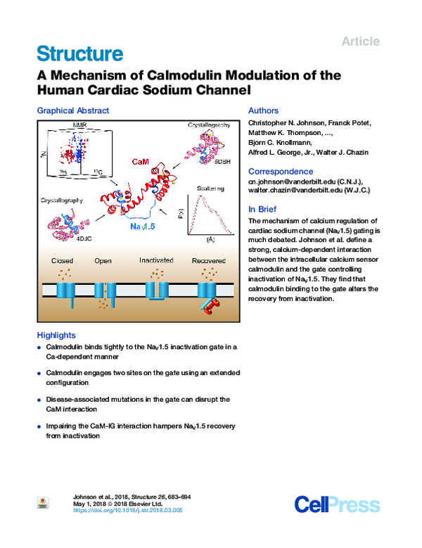 (PDF) A Mechanism of Calmodulin Modulation of the Human Cardiac Sodium ...