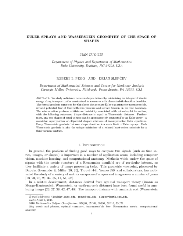 (PDF) Euler sprays and Wasserstein geometry of the space of shapes