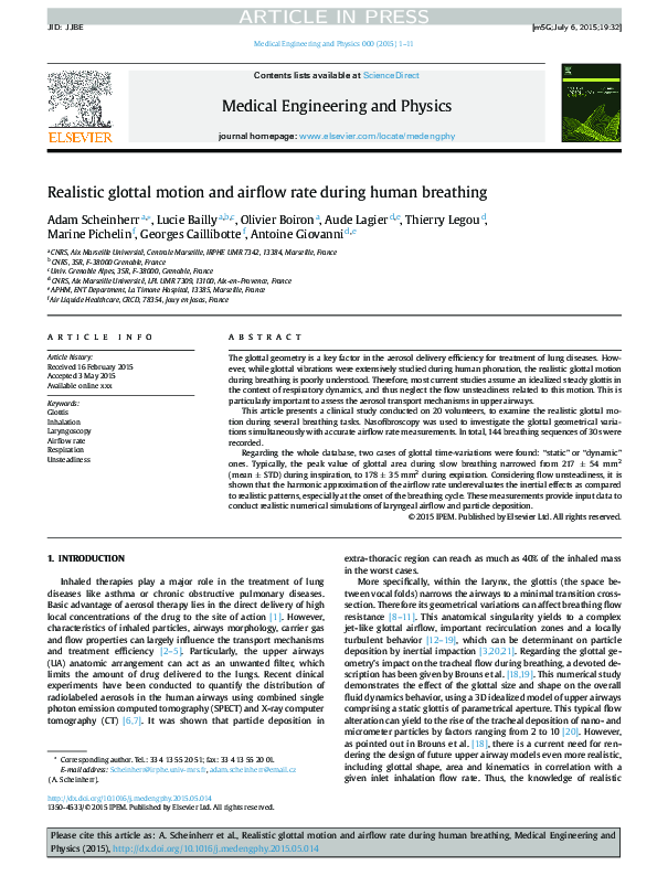 (PDF) Realistic glottal motion and airflow rate during human breathing