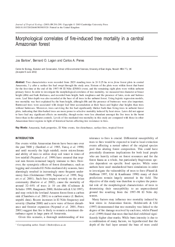 (PDF) Morphological correlates of fire-induced tree mortality in a ...