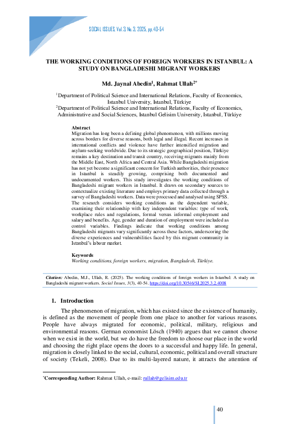 (PDF) THE WORKING CONDITIONS OF FOREIGN WORKERS IN ISTANBUL: A STUDY ON ...