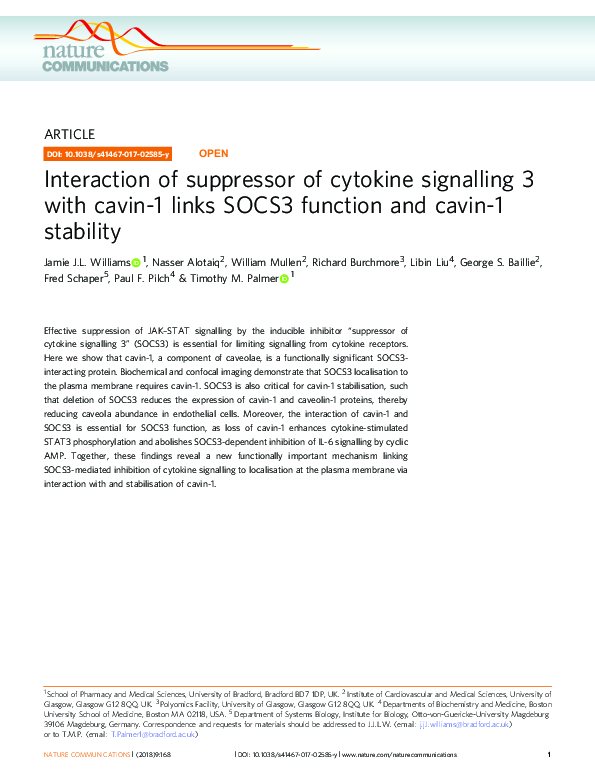 (PDF) Interaction of suppressor of cytokine signalling 3 with cavin-1 ...