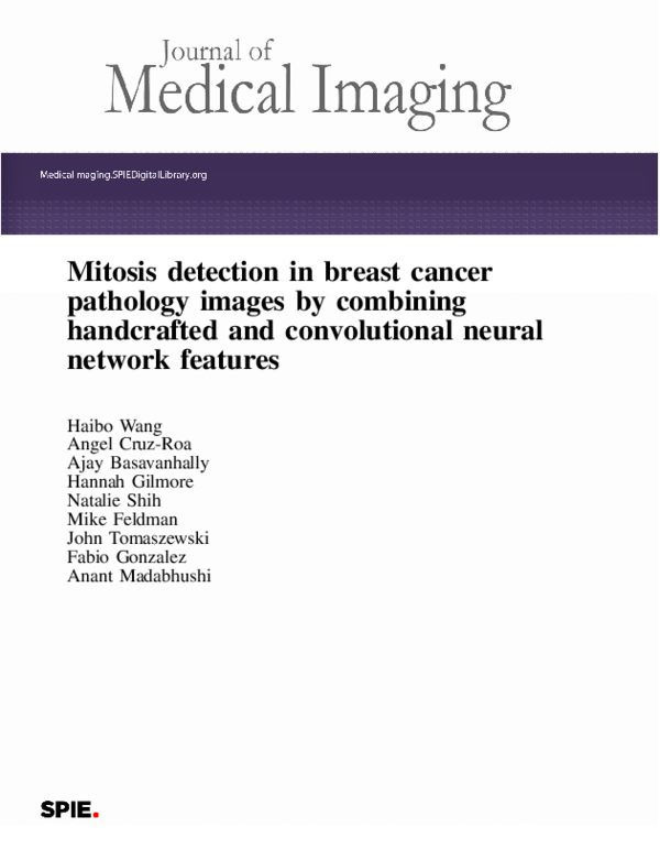 (PDF) Mitosis detection in breast cancer pathology images by combining ...