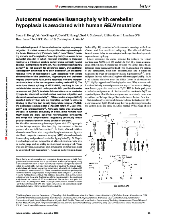 (PDF) Autosomal recessive lissencephaly with cerebellar hypoplasia is ...