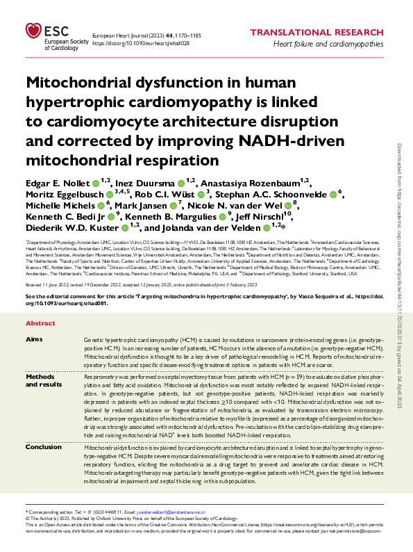 (PDF) Mitochondrial dysfunction in human hypertrophic cardiomyopathy is ...