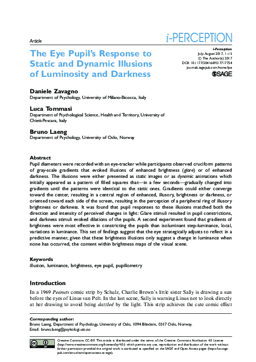 (PDF) The Eye Pupil’s Response to Static and Dynamic Illusions of ...