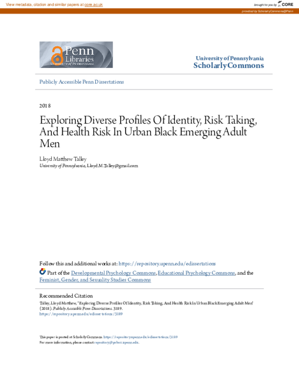 (PDF) Exploring Diverse Profiles Of Identity, Risk Taking, And Health ...