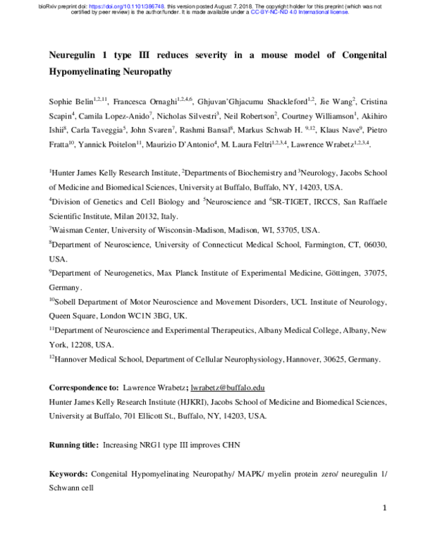 (PDF) Neuregulin 1 type III reduces severity in a mouse model of ...