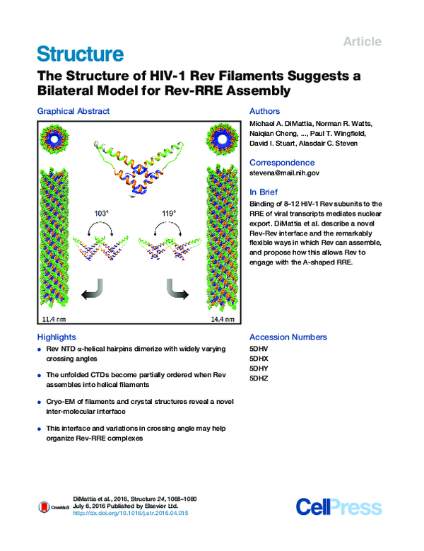 (PDF) The Structure of HIV-1 Rev Filaments Suggests a Bilateral Model ...