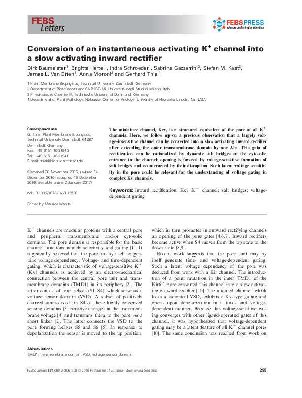 (PDF) Conversion of an instantaneous activating K(+) channel into a ...