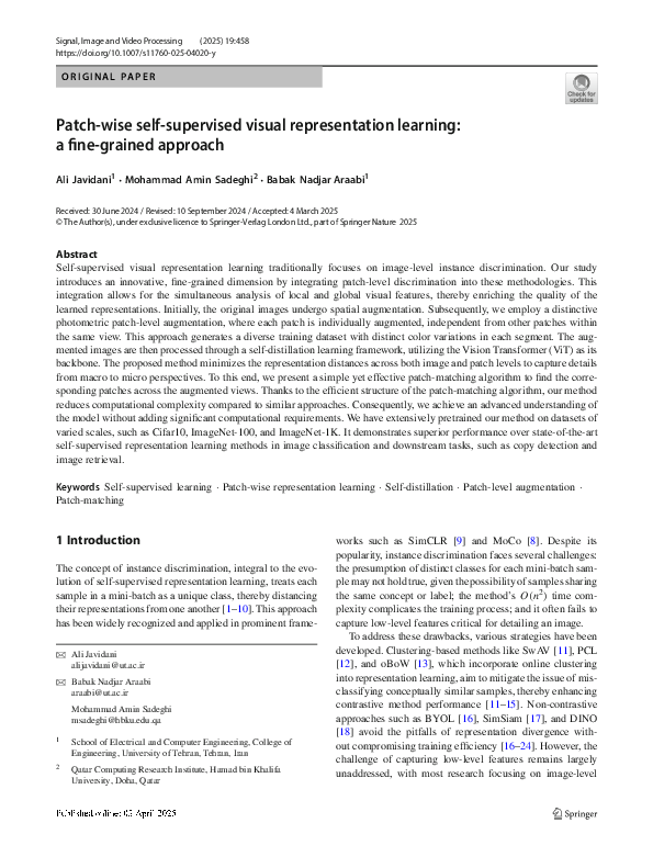 (PDF) Patch-wise self-supervised visual representation learning: a fine ...