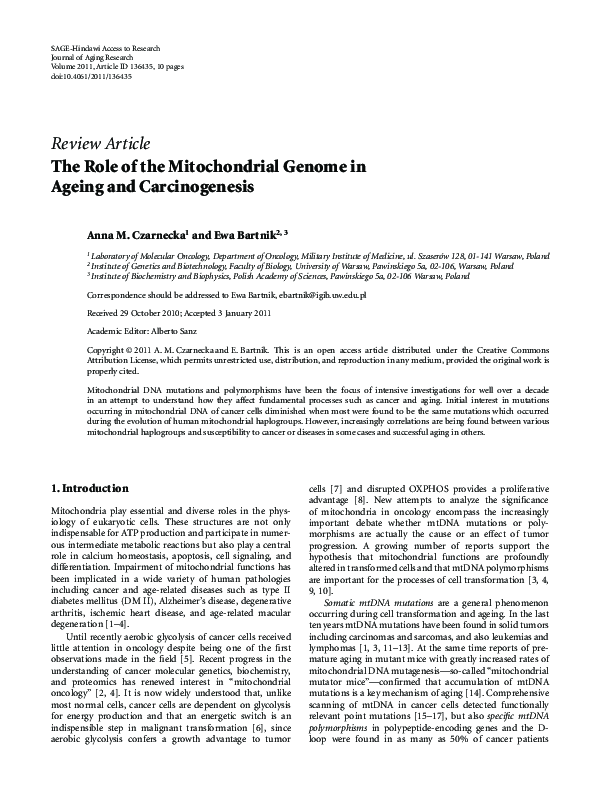 (PDF) The role of the mitochondrial genome in ageing and carcinogenesis