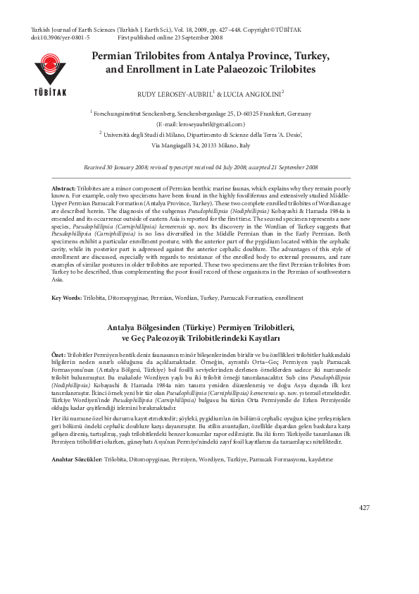 Trilobites essay image