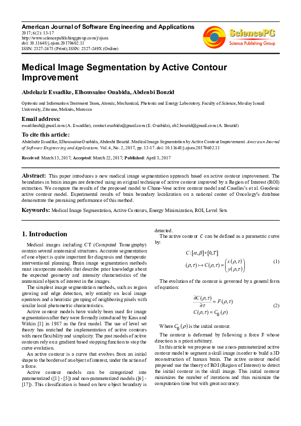 (PDF) Medical Image Segmentation by Active Contour Improvement