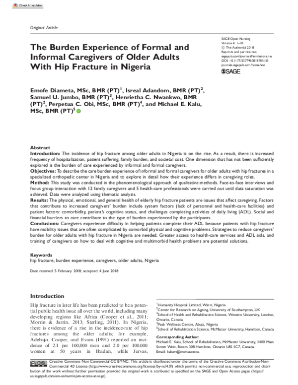 (PDF) The Burden Experience of Formal and Informal Caregivers of Older ...
