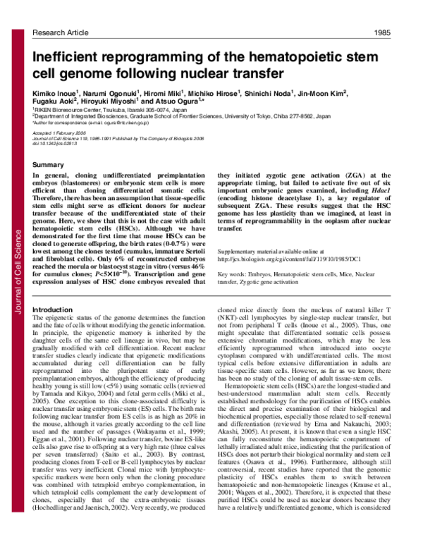 (PDF) Inefficient reprogramming of the hematopoietic stem cell genome ...