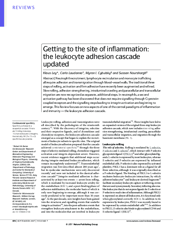 (PDF) Getting to the site of inflammation: the leukocyte adhesion ...