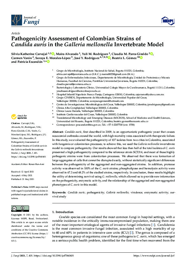 (PDF) Pathogenicity Assessment of Colombian Strains of Candida auris in ...