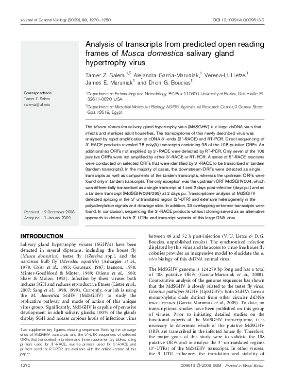 (PDF) Analysis of transcripts from predicted open reading frames of ...