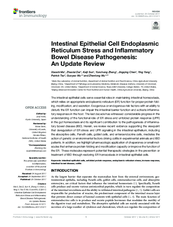 Curated visual reference: Fresh Look at Pdf Intestinal Epithelial Cell Endoplasmic Reticulum Stress And