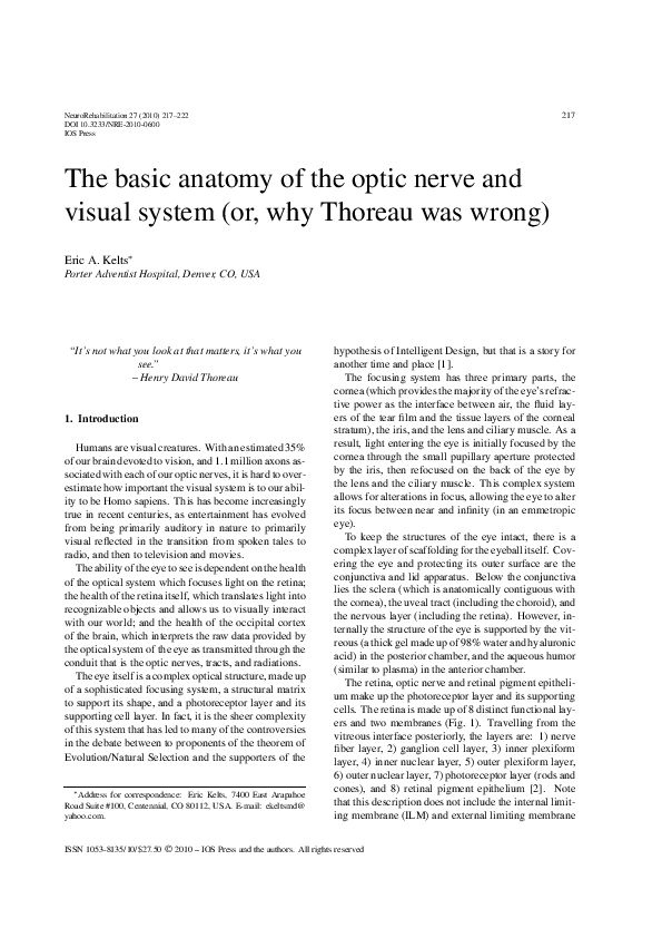 (PDF) The basic anatomy of the optic nerve and visual system (or, why ...