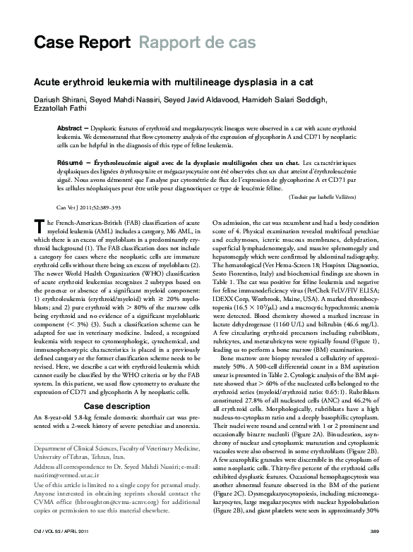 Image result for (PDF) Acute erythroid leukemia with multilineage dysplasia in a cat