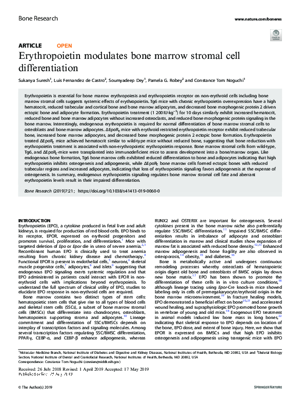 (PDF) Erythropoietin modulates bone marrow stromal cell differentiation