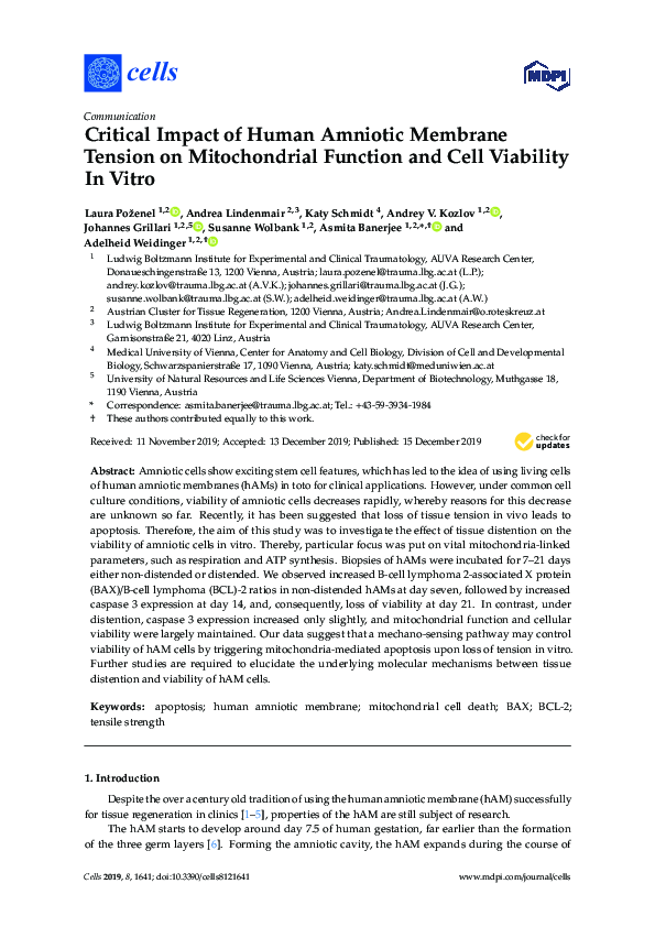 (PDF) Critical Impact of Human Amniotic Membrane Tension on ...