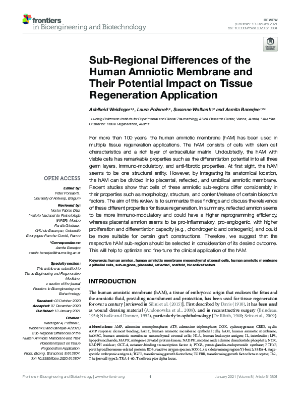 (PDF) Sub-Regional Differences of the Human Amniotic Membrane and Their ...