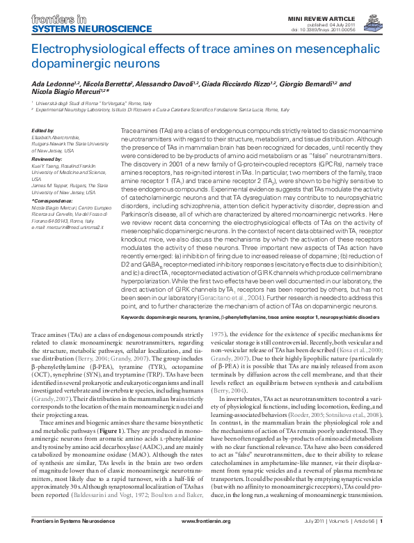 (PDF) Electrophysiological Effects of Trace Amines on Mesencephalic ...